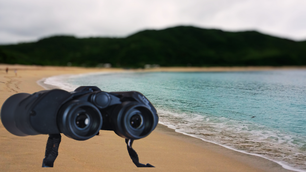 野鳥観察の初心者の双眼鏡選び